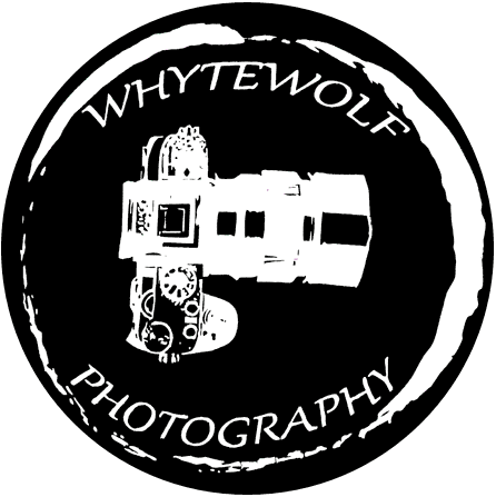 Whyte Wolf Photography